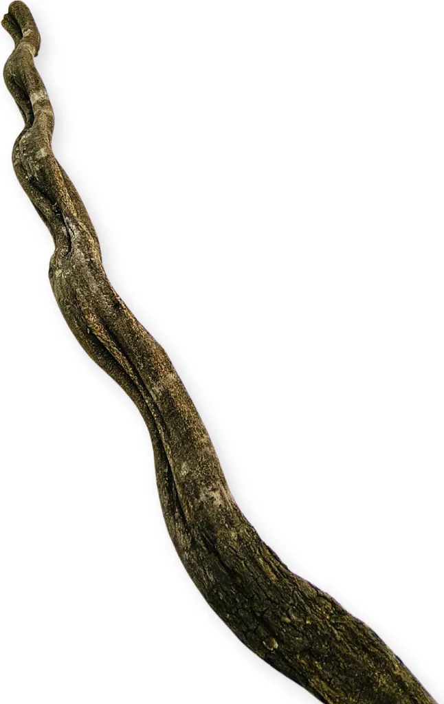 Liane de bois naturel brun foncé 100cm - Branche épaisse terrarium