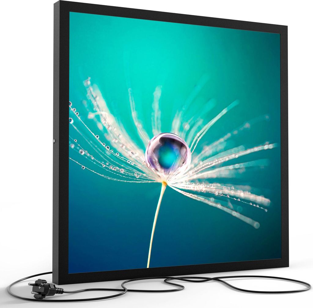 DEQORI LED-Bild & Lampe 60x60 cm Schwarz 'Samen mit Wassertropfen' Leuchtbild LED Leuchte
