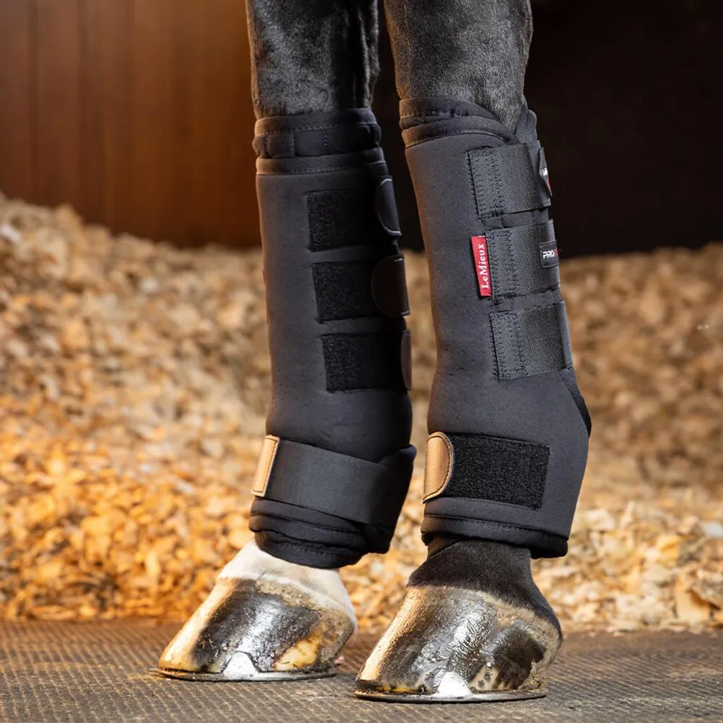 Bottes de Transport et Box LeMieux Stable Noires en Taille Large