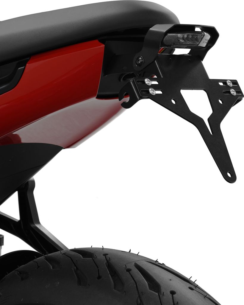 ZIEGER Kennzeichenhalter kompatibel mit Triumph Trident 660