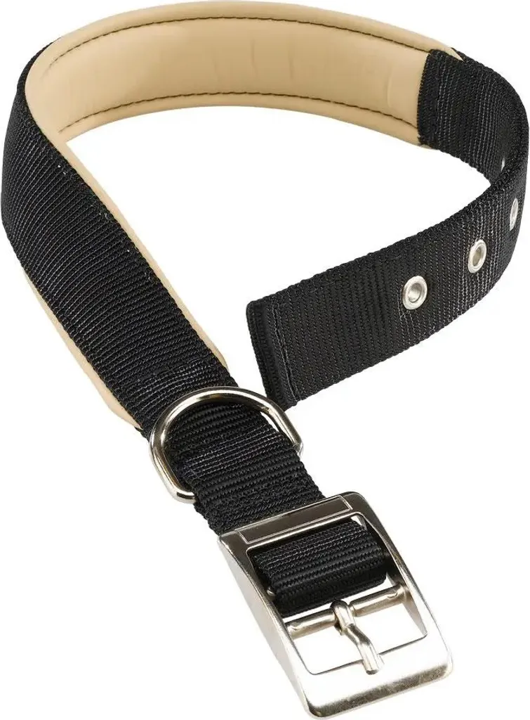 Offerta Collare Ferplast Daytona C40/63 Nero | Nylon Imbottito