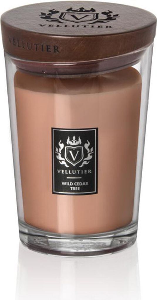 Wild Cedar Tree Vellutier 515 G Zdjęcie produktu 