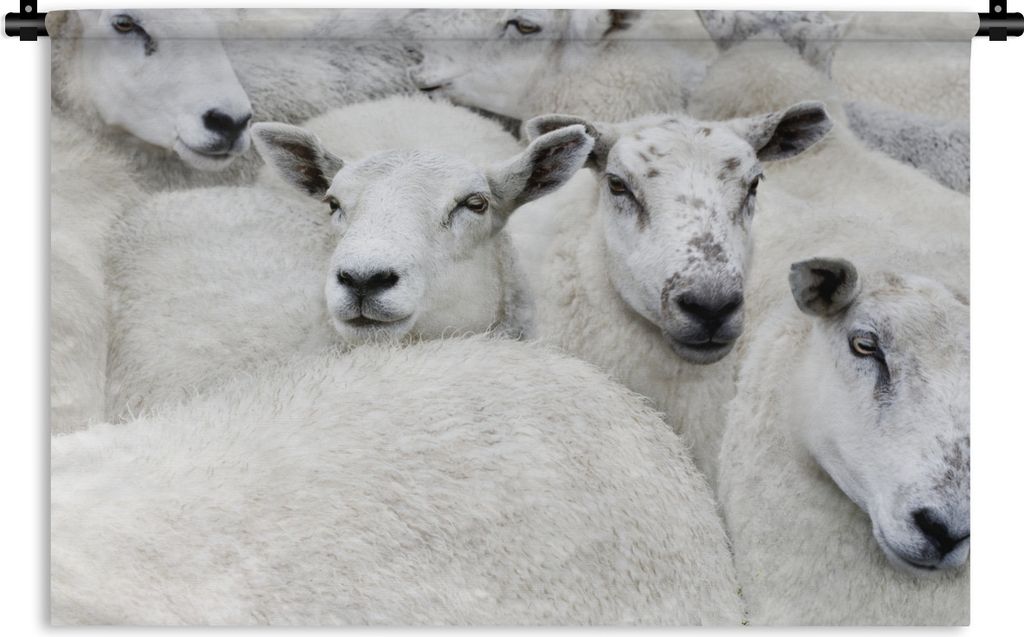 MuchoWow Wandteppich Wandbehang Schafe - Tiere - Bauernhof 60x40 cm Tapisserie Dekoration Wandtuch - Wanddekorationen