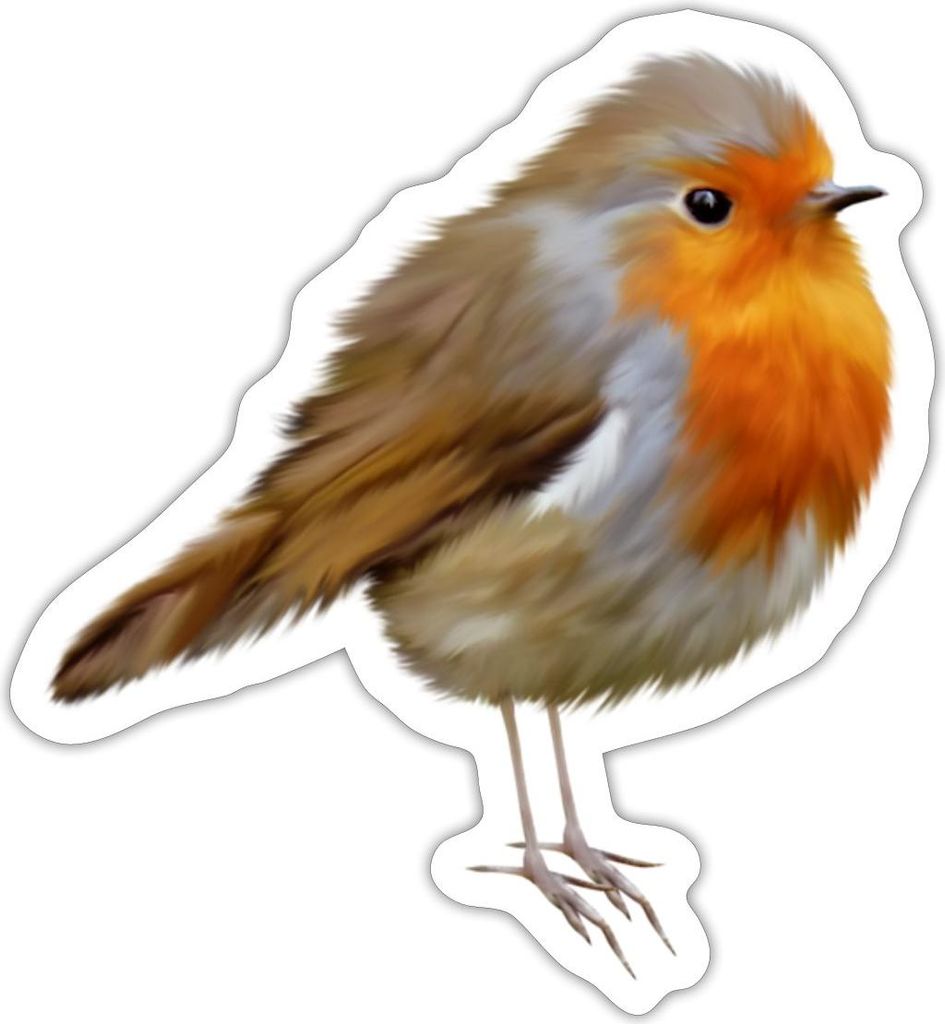 Spreadshirt Rotkehlchen Robin Design Sticker Aufkleber, 10 x 10 cm, Mattweiß