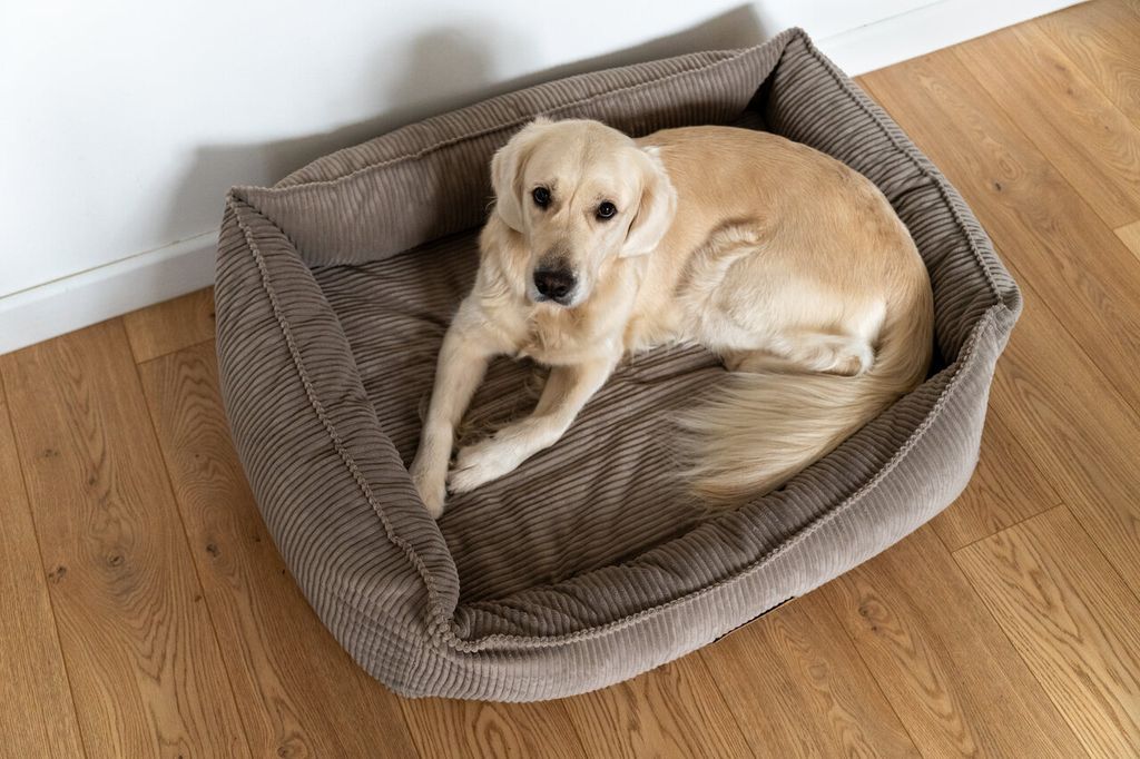 Orthopdisches Hundebett XXL personalisiert mit Namen