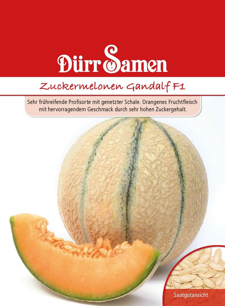 Dürr-Samen - Zuckermelone Gandalf F1 - Saatgut - 0144 Produktbild 