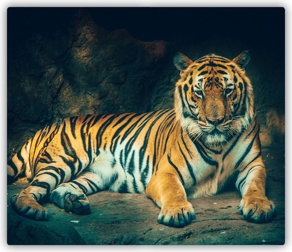 Tulup Glas Herdabdeckplatte Glaskeramikkochfeld-Abdeckung Spritzschutz Glasabdeckplatte Kochplattenabdeckung und Schneidebrett - Einteilig - 60x52 ...