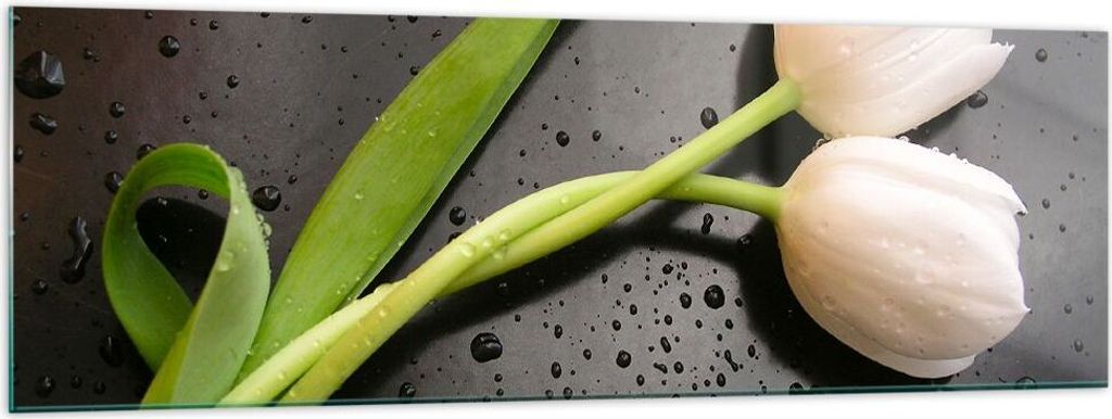 Bilder auf glas - Tulpen Blume Pflanzung Pflanze - 160x50cm - Glasbilder - Wandbilder - Kunstdruck - zum Aufhängen bereit - Wanddekoration aus Gla...