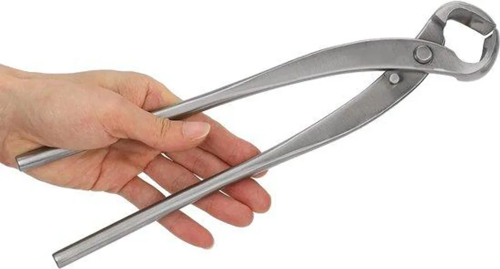 Coupe-branche concave pro en inox 29,5 cm pour la taille de structure