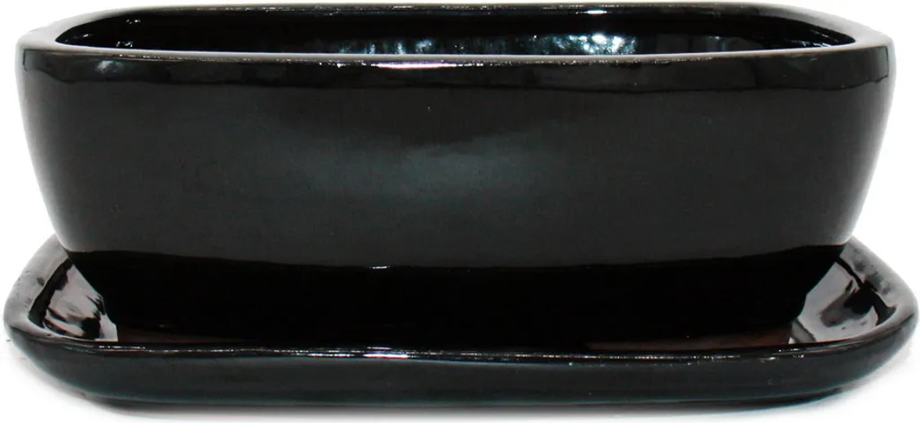 Pot à Bonsaï Drainage Optimisé 26cm Anthracite - Fini l'Eau Stagnante