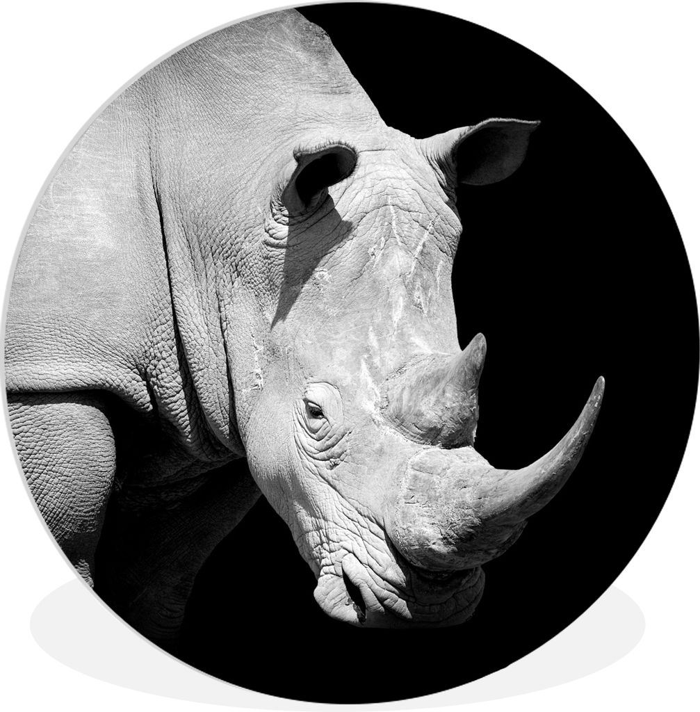 MuchoWow Rundes Wandbild - Runde Bilder Rhinozeros - Tier - Porträt Ø 90 cm Kreis Wanddekoration Kunststoff - Wandkreis - Wandschmuck - Wand-Kr...