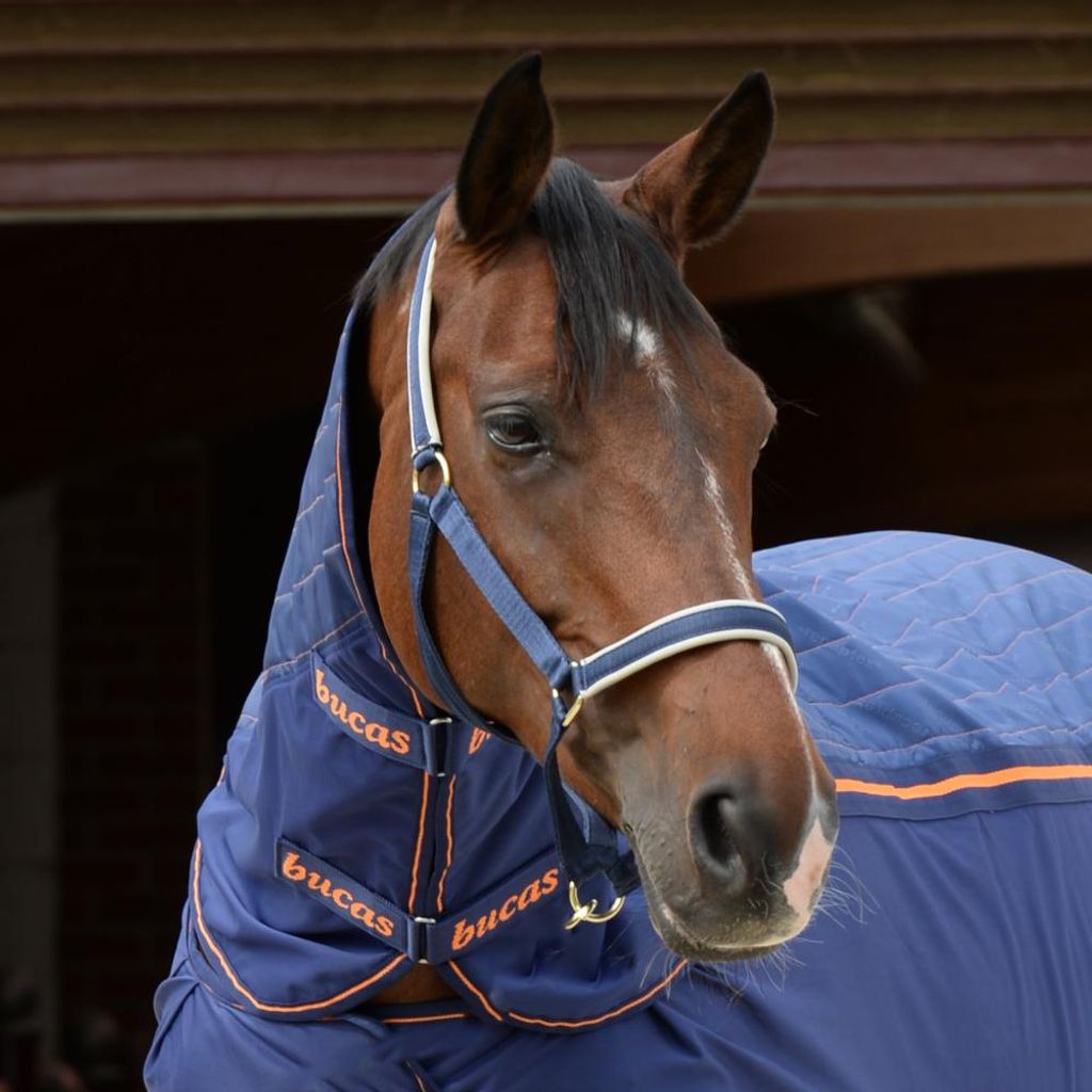 Bucas Therapy Cooler Halsteil, Farbe:Navy/Orange, Größe:XL