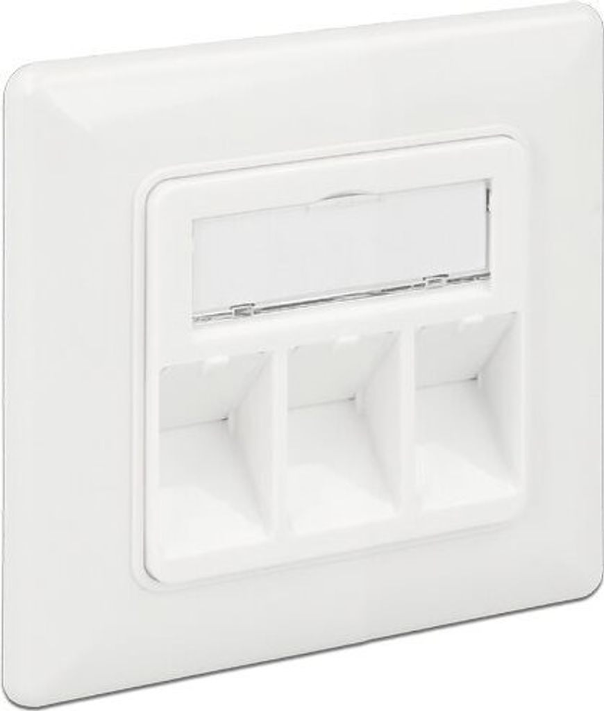 DeLOCK Keystone Wall Outlet - Wanddose - Pure White, RAL 9010 - 3 Ports (86194)