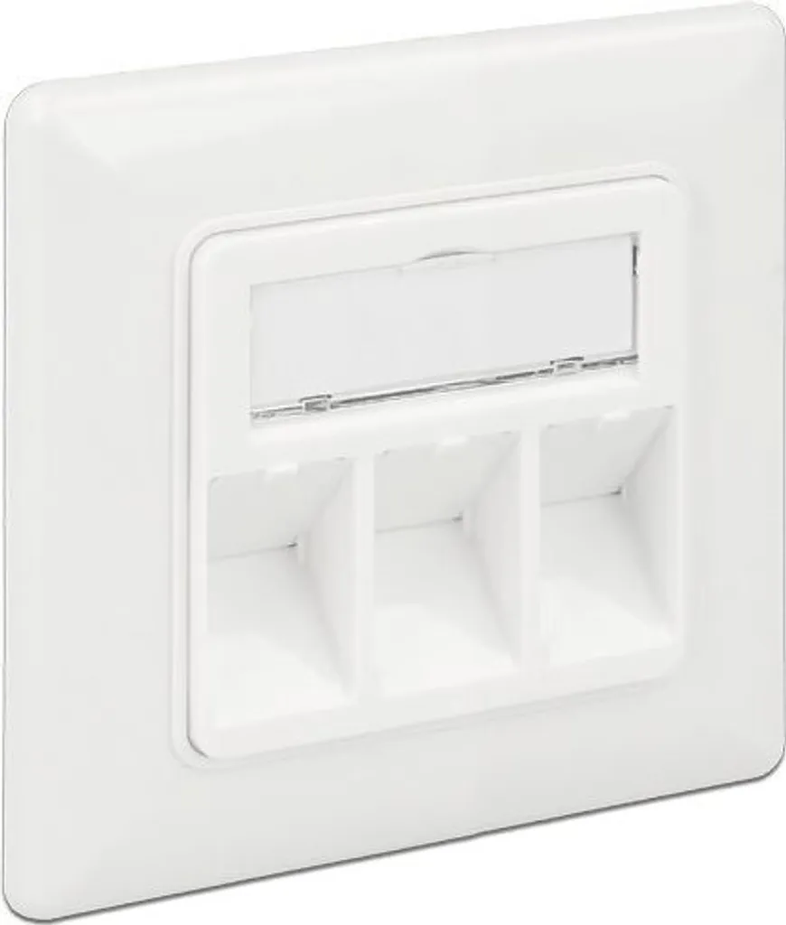 Boîtier Keystone Mural Blanc 2 Entrées avec Protection Anti-Poussière