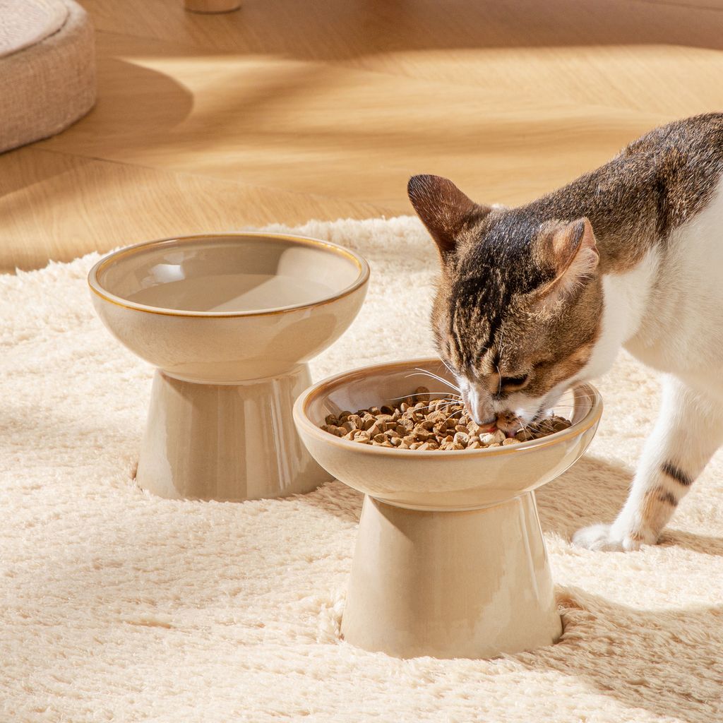 gamelle 2 pièces en faïence, surélevée pour animaux Image du produit 