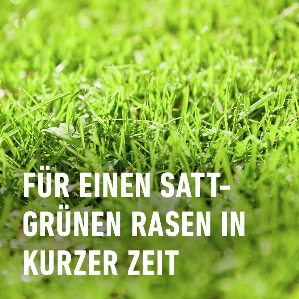 brlauch saatgut bio Saatgut Brlauch