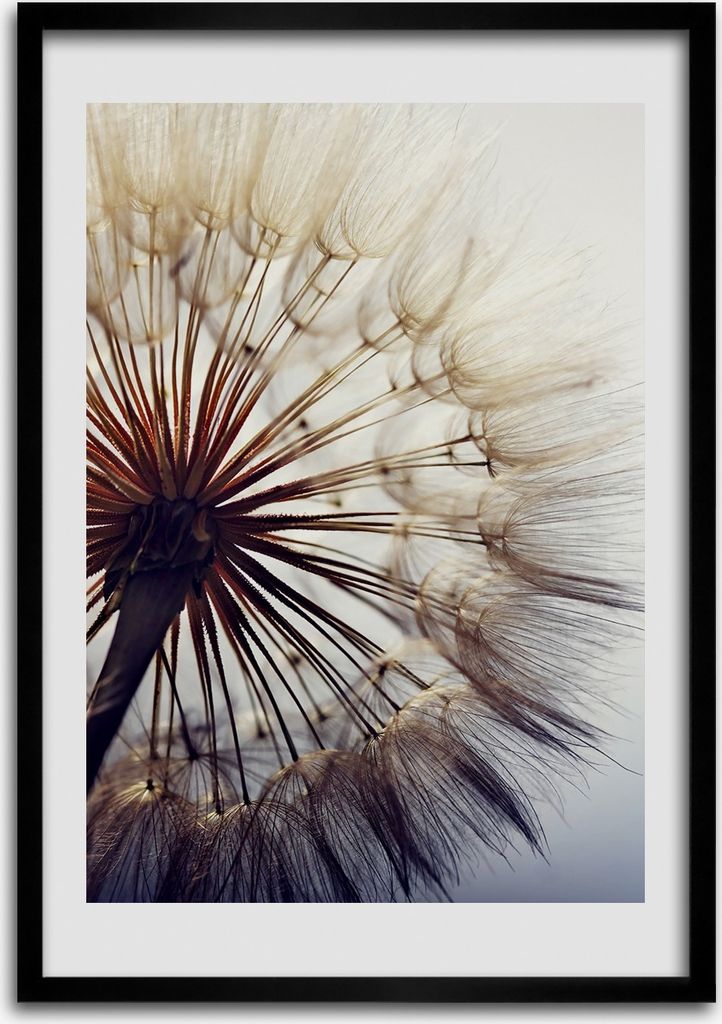 Bild - Bilderrahmen - 50 cm x 70 cm - MDF - Rahmen - Wandkunst Löwenzahn