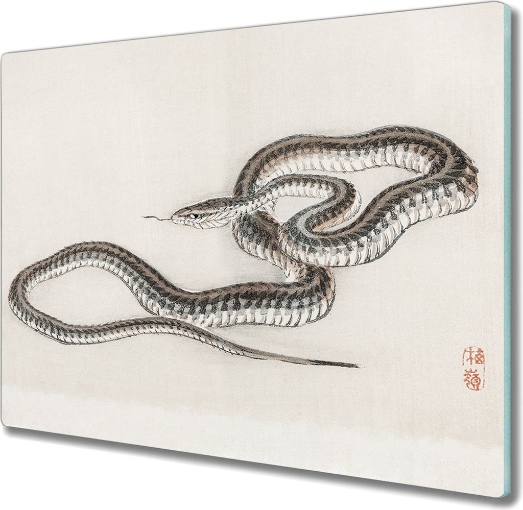 Coloray Hackbrett Küchenbrett Kochplattenabdeckung Schneidebrett Herdabdeckplatte 60x52 cm - Haustier Schlange