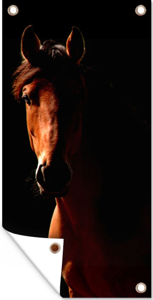 MuchoWow 80x160 cm Outdoor-Poster Gartendeko Sichtschutz Garten Poster für den Garten Pferd - Licht - Porträt