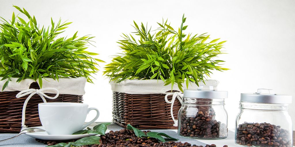 Tulup Glas-Bild -140x70- Wandkunst Dekorative Wand für Küche & Wohnzimmer - Essen & Getränke - Pflanzen Kaffee - Grün