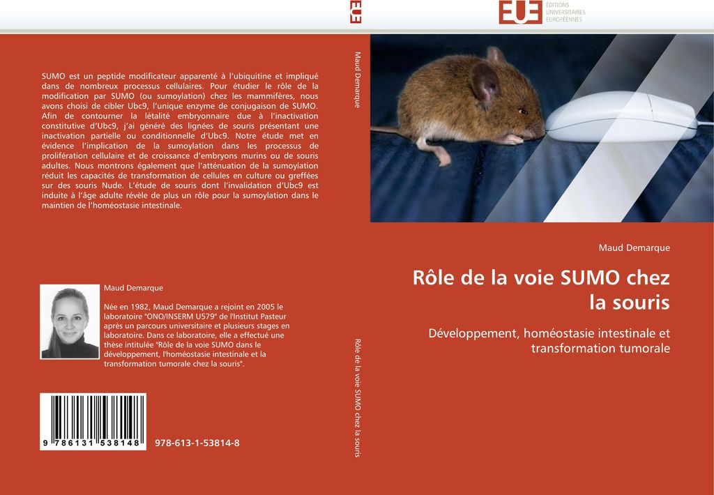 Rôle de la voie SUMO chez la souris