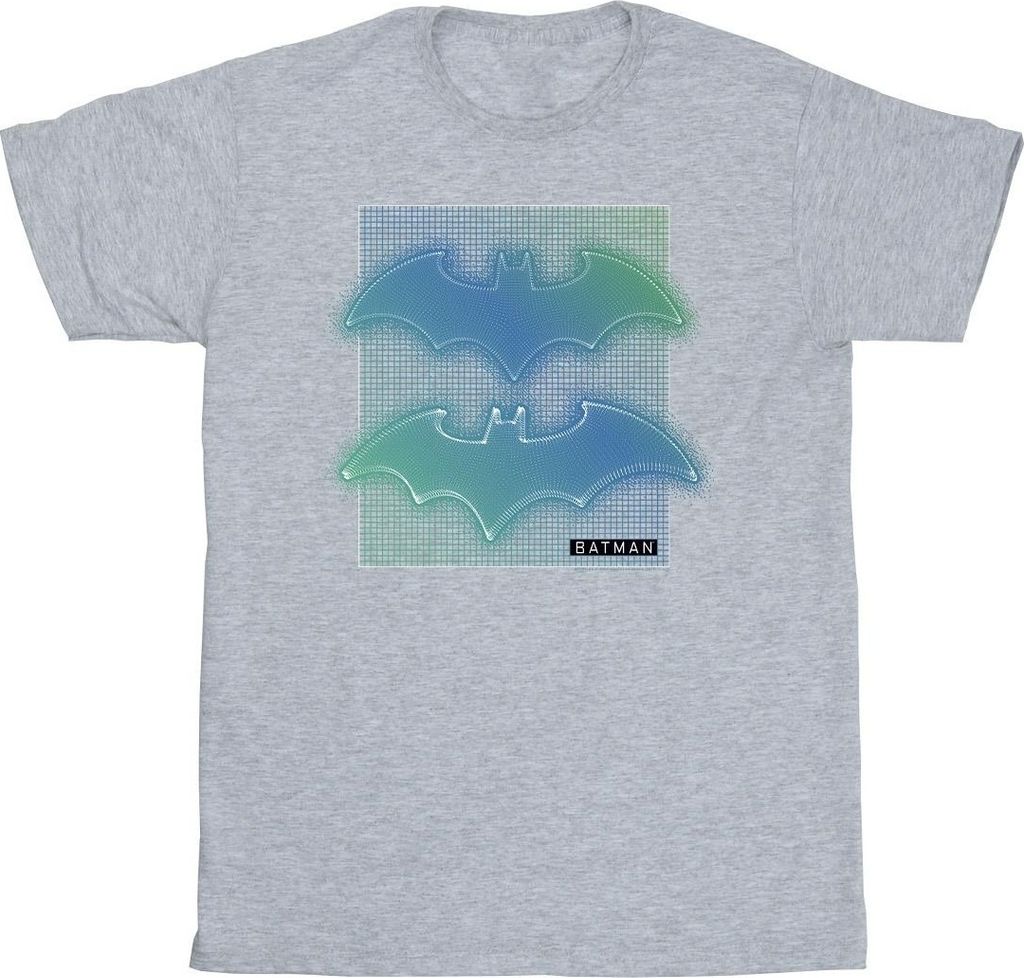 DC Comics - T-Shirt für Herren BI15280 (L) (Grau) Produktbild 