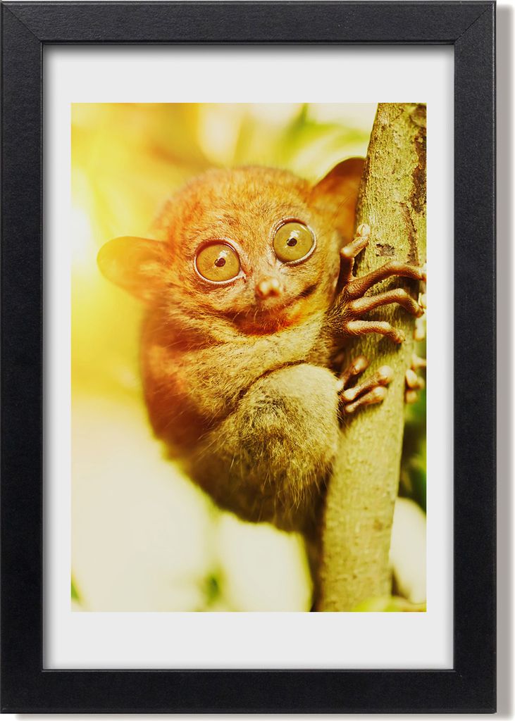 Bild 20x30 MDF-Rahmen, Wandkunst Spuk