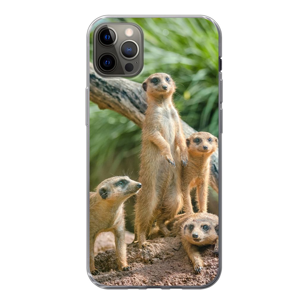MuchoWow Handyhülle Schutzhülle Hülle für iPhone 12 Pro Max Familie - Tiere - Erdmännchen Silikon Softcase Handy Hülle - Hartschale
