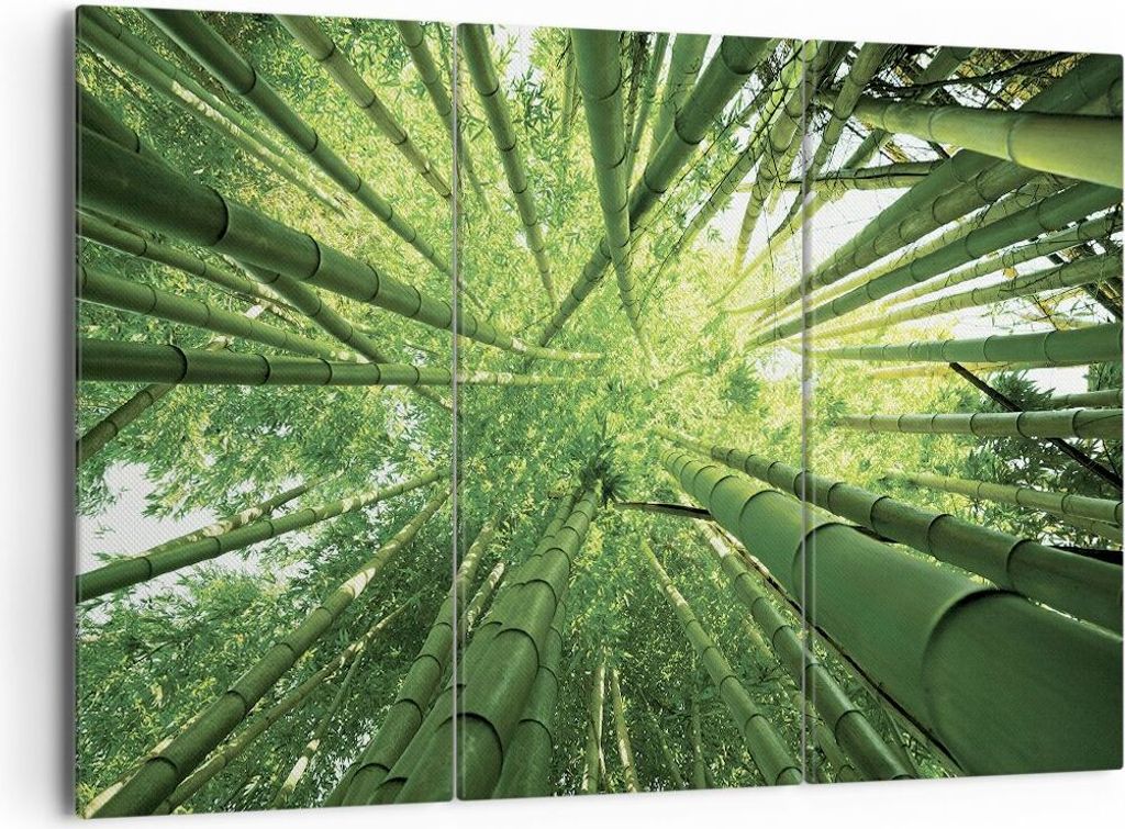 Bild auf Leinwand - Leinwandbild - 3 Teile - Bambus Dschungel Grün - 165x110cm - Wand Bild - Wanddeko - Wandbilder - Leinwanddruck - Bilder - Wand...
