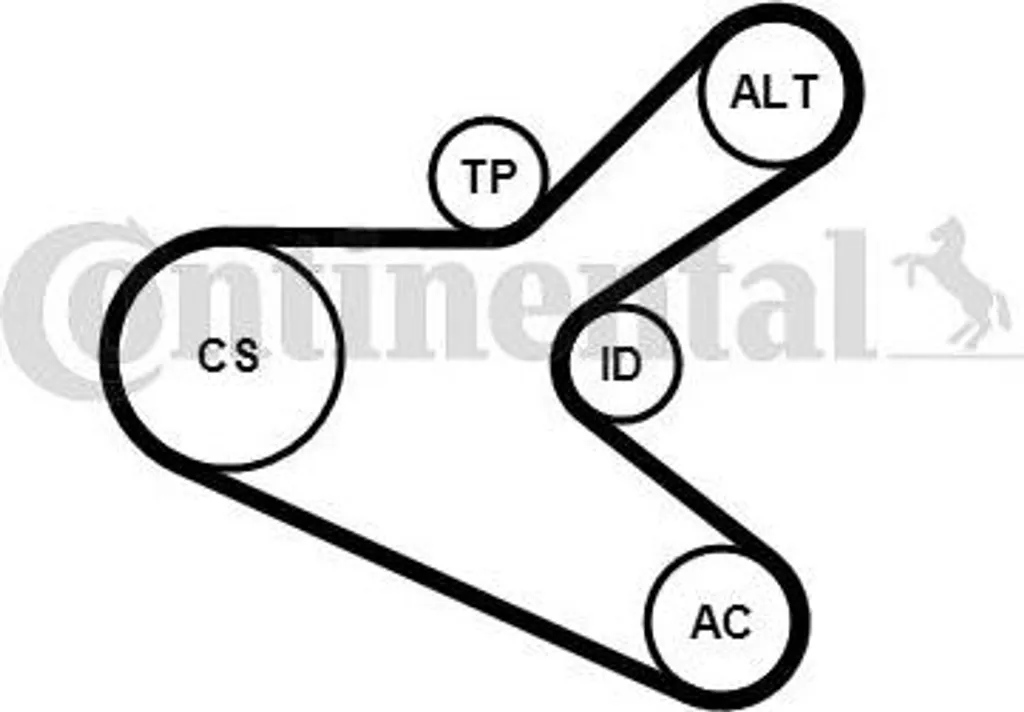 Kit de courroie trapézoïdale Continental 6PK1153K2 pour 307 et C4