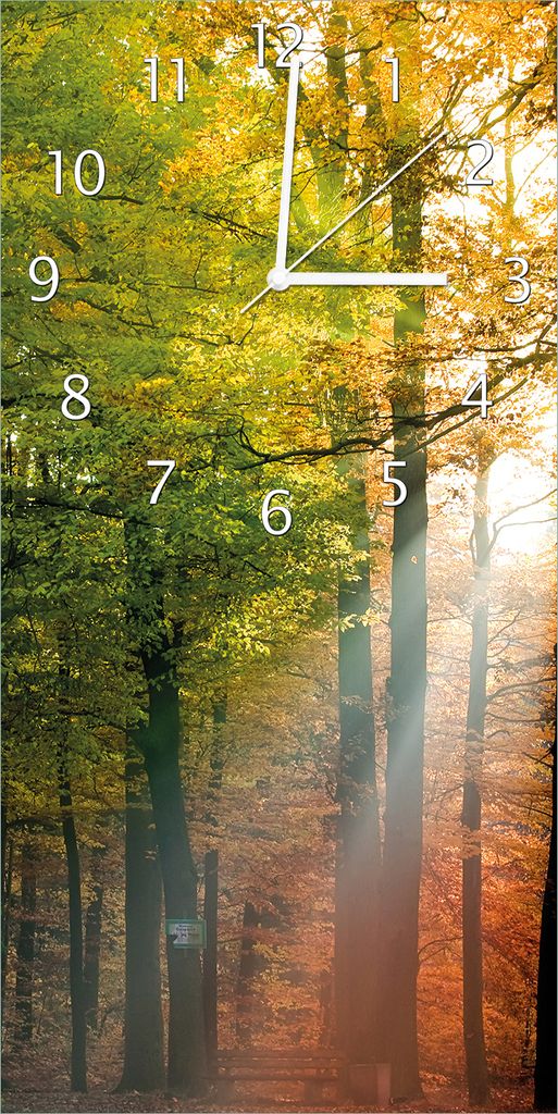 Wallario Design Wanduhr Sonnenuntergang im Herbstwald aus Echtglas, Größe 30 x 60 cm