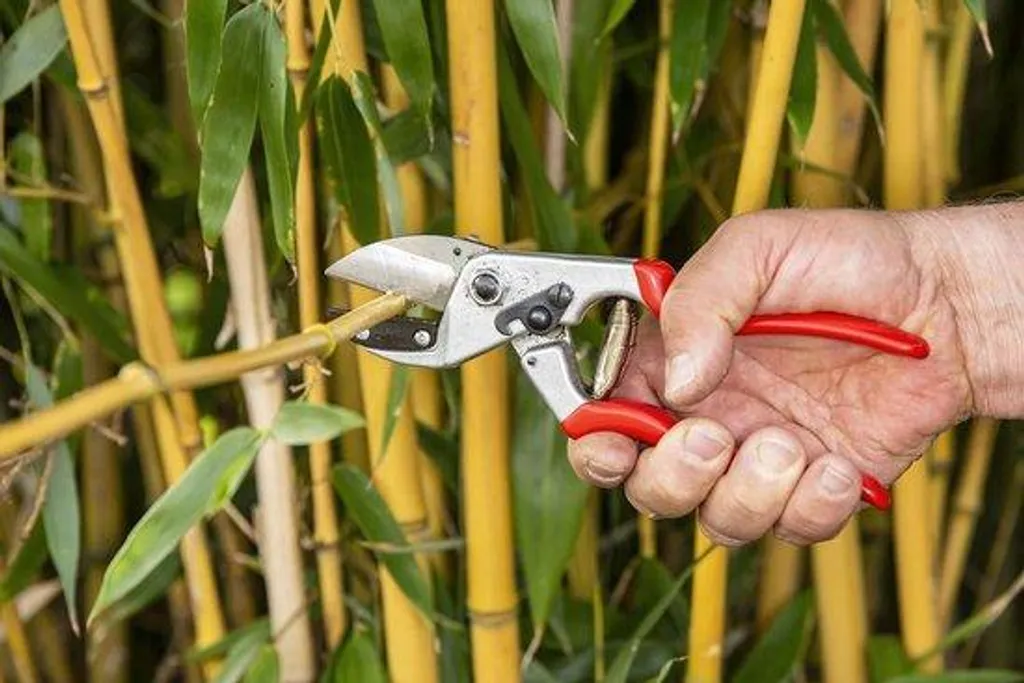 Couteau à main 210 mm robuste pour éviter la fatigue et couper précis