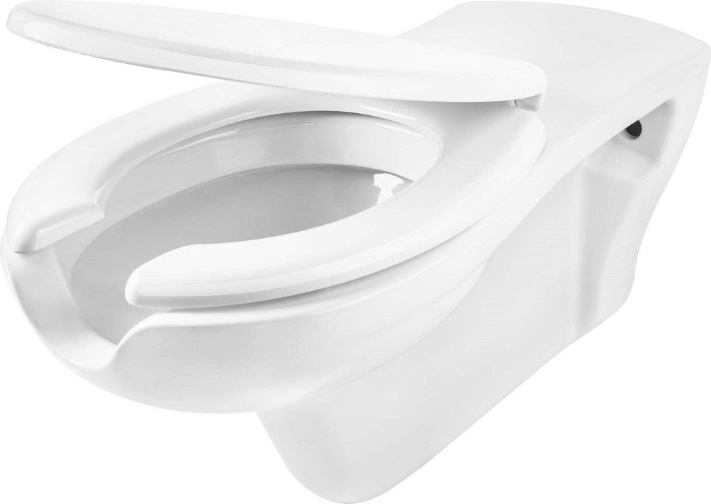 Wall-hung toilet for people with reduced mobility