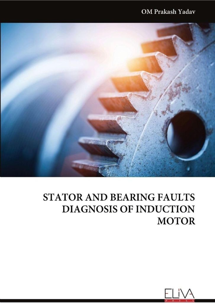 Diagnose Von Stator- Und Lagerfehlern Bei Asynchronmotoren