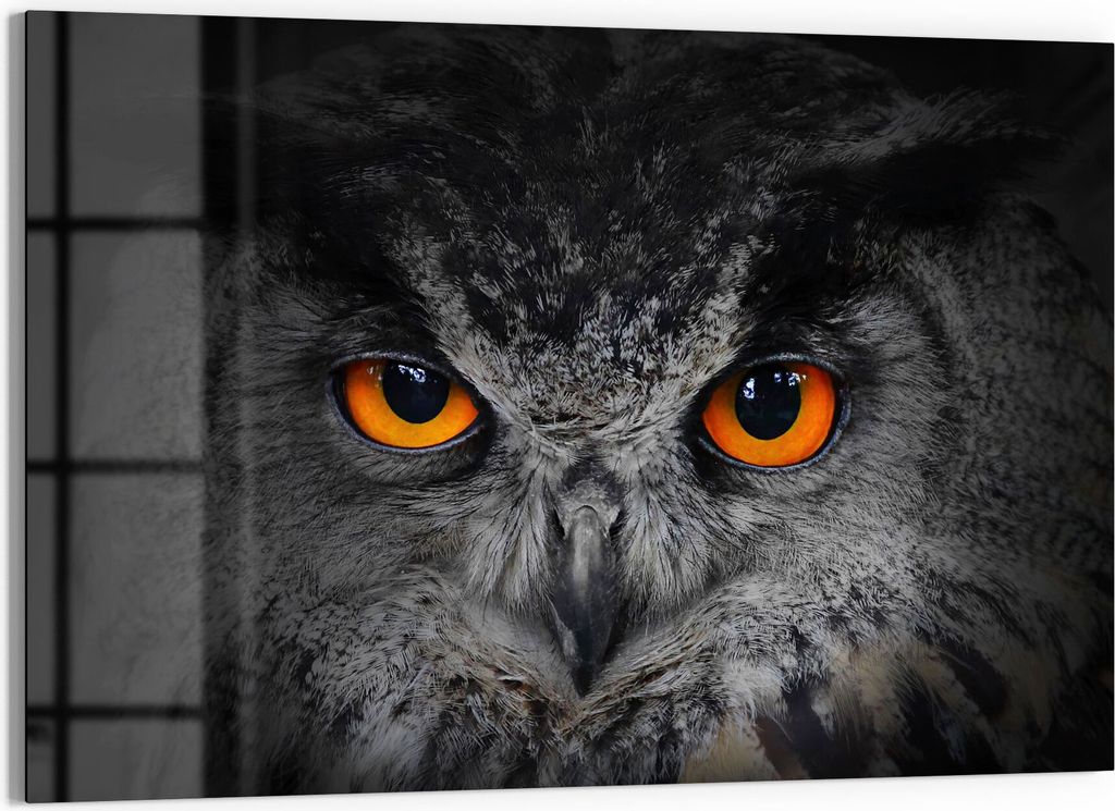 DEQORI Magnettafel Glas 60x40 cm 'Uhu schaut grimmig' beschreibbar Whiteboard