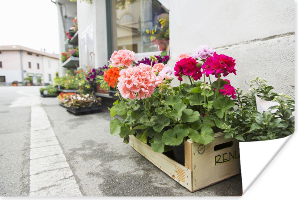 MuchoWow Poster Kisten mit Geranien auf der Straße 180x120 cm - Fotoplakat