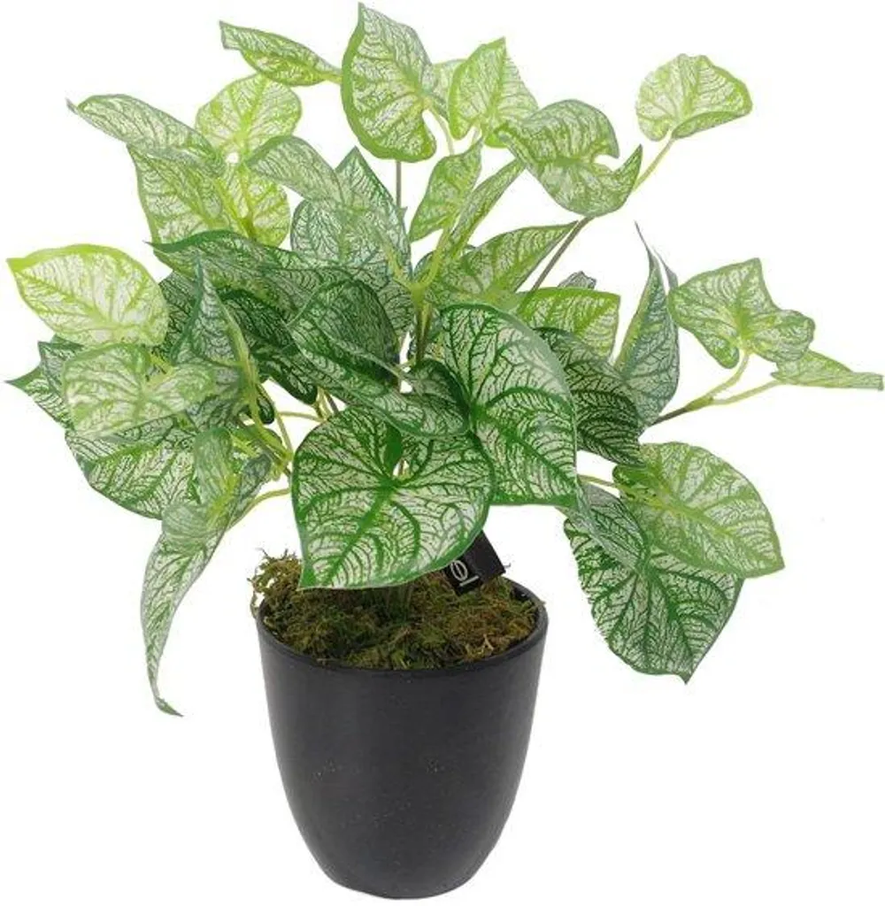 Plante verte artificielle réaliste avec finitions haut de gamme 60cm