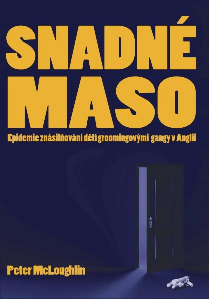 Comprendre les Gangs en Angleterre avec Snadné maso de P. McLoughlin