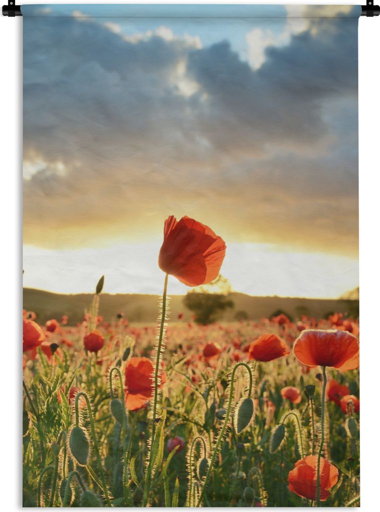 MuchoWow Wandteppich Wandbehang Bunter Himmel über vielen Mohnblumen 120x180 cm Tapisserie Dekoration Wandtuch - Schlafzimmer - Dekorationen fü...