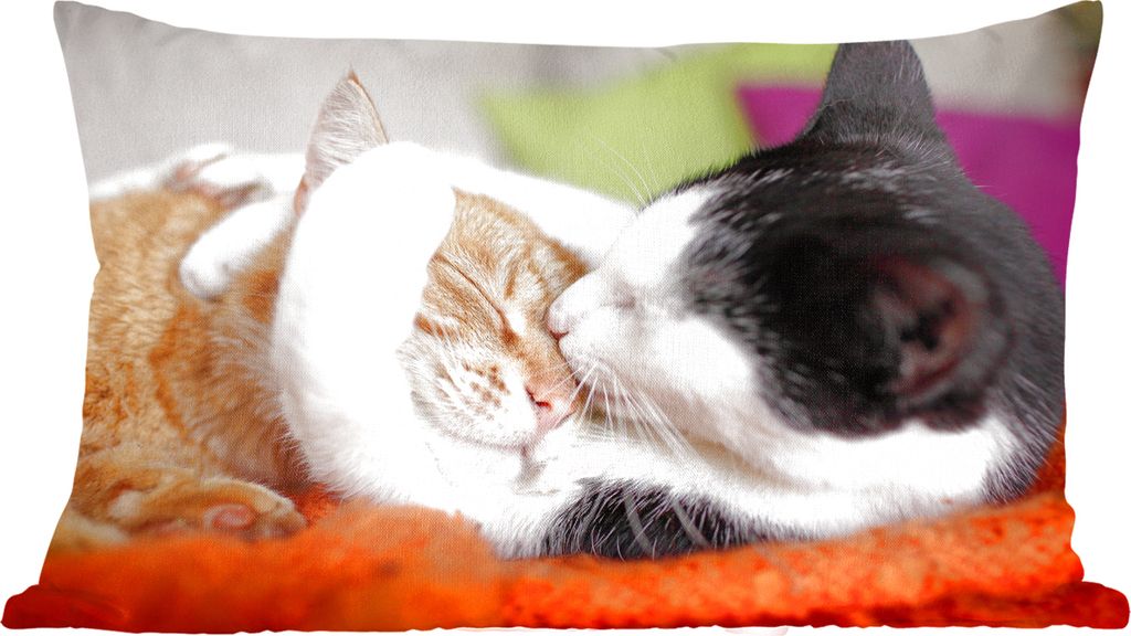 MuchoWow Zierkissen Sofakissen Wohnzimmer Dekokissen 50x30 cm Katzen - Kuscheltier - Animal Day - Wohnzimmerdekoration - Polster mit Photo