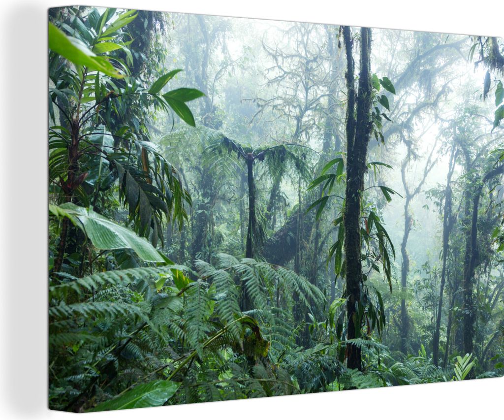 OneMillionCanvasses - Leinwandbilder - 150x100 cm, Ein nebliger Regenwald in Costa Rica, Wandbilder Kunstdruck Wanddekoration