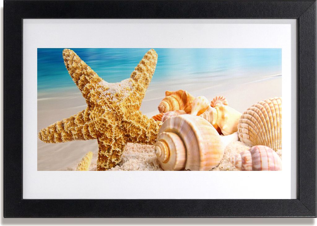Bild 30x20 MDF-Rahmen Wandkunst Starfish Shell Kunst