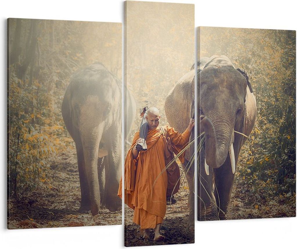 Bild auf Leinwand - Leinwandbild - Elefant Mönch Dschungel Produktbild 