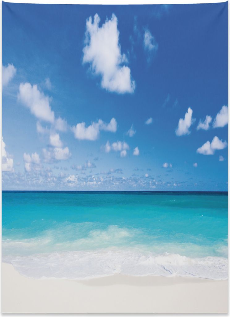 Abakuhaus Ozean Wandteppich, Exotischer karibischer Strand aus Weiches Mikrofaser Stoff Kein Verblassen Klare Farben Waschbar, 110 x 150 cm, Kokosn...