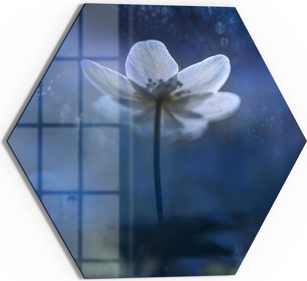 DEQORI Glasbild Echtglas 40x35 cm 'Ätherische Blüte' Wandbild Bild modern Deko