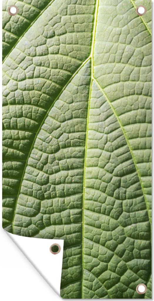 MuchoWow 80x160 cm Outdoor-Poster Gartendeko Sichtschutz Garten Poster für den Garten Nahaufnahme der ovalen Klinge