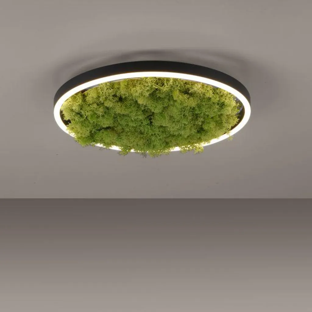 Plafonnier LED Dimmable Vert Mousse 20W : Éclairage Anti-Éblouissement