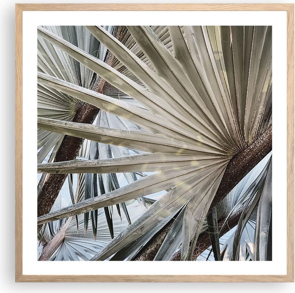 Gerahmtes Poster - Rahmen in heller Eiche - Blatt Palme Natur - 60x60 cm - Wand Bild - Wanddeko - Wandbilder - Kunstposter - Wandposter - Bilderrah...