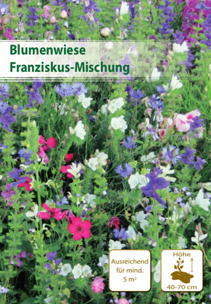 Franziskus Mischung 5 m² | Blumenmischung von Küpper
