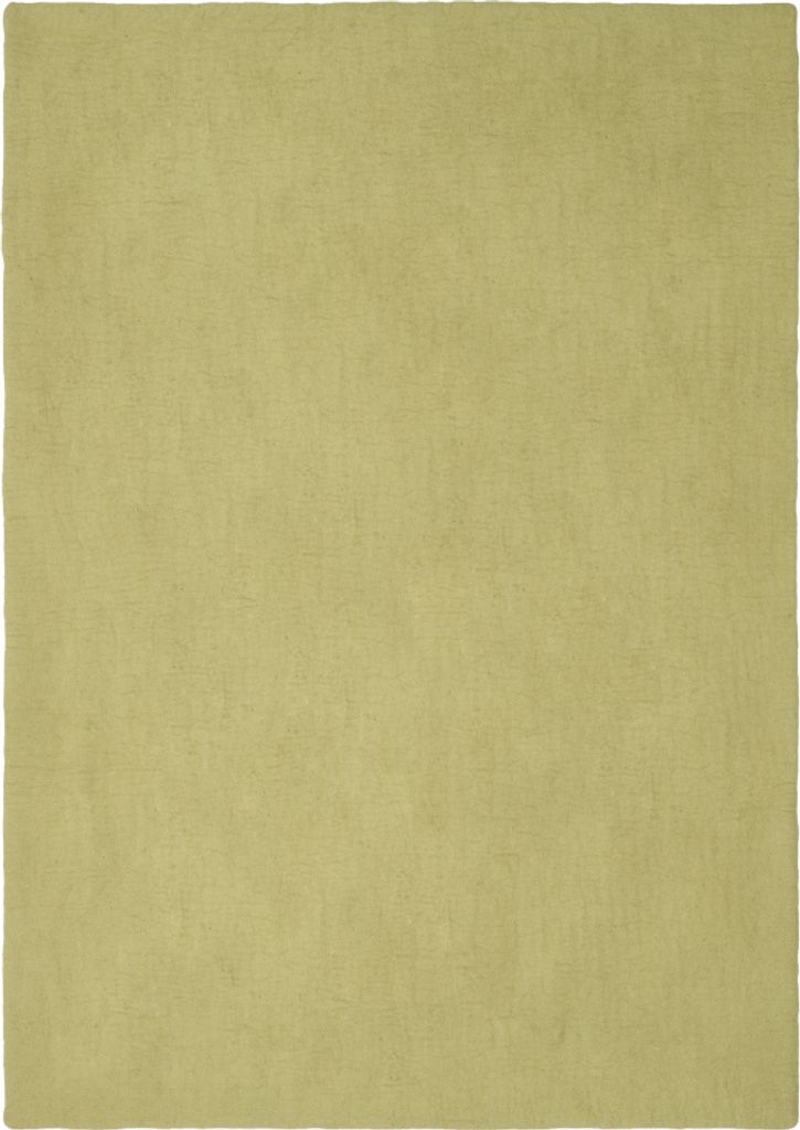 Mono Filzteppich Rechteckig 180 x 260 cm Hellgrün